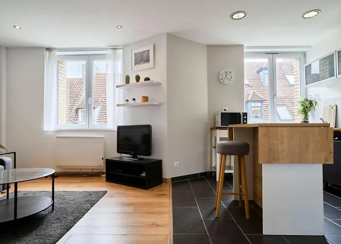 Apartment In Old Lille